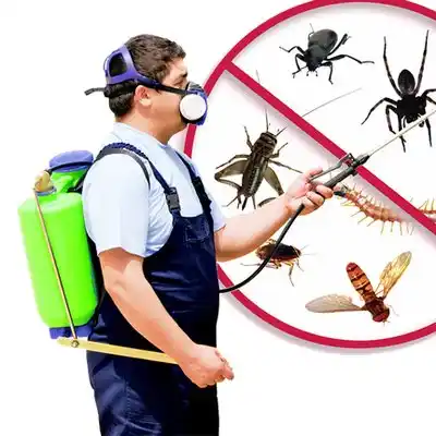 pest control Green City